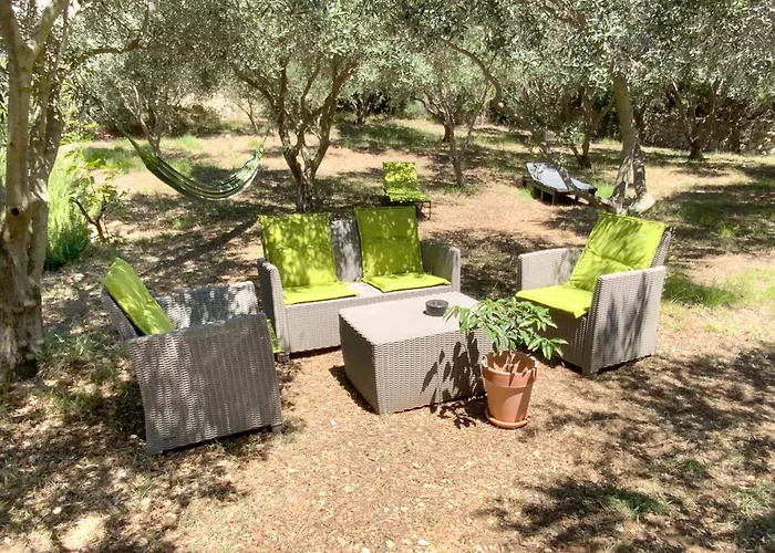 Olive House